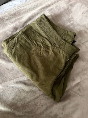 Arc’teryx Olive Pants | Size 36x32